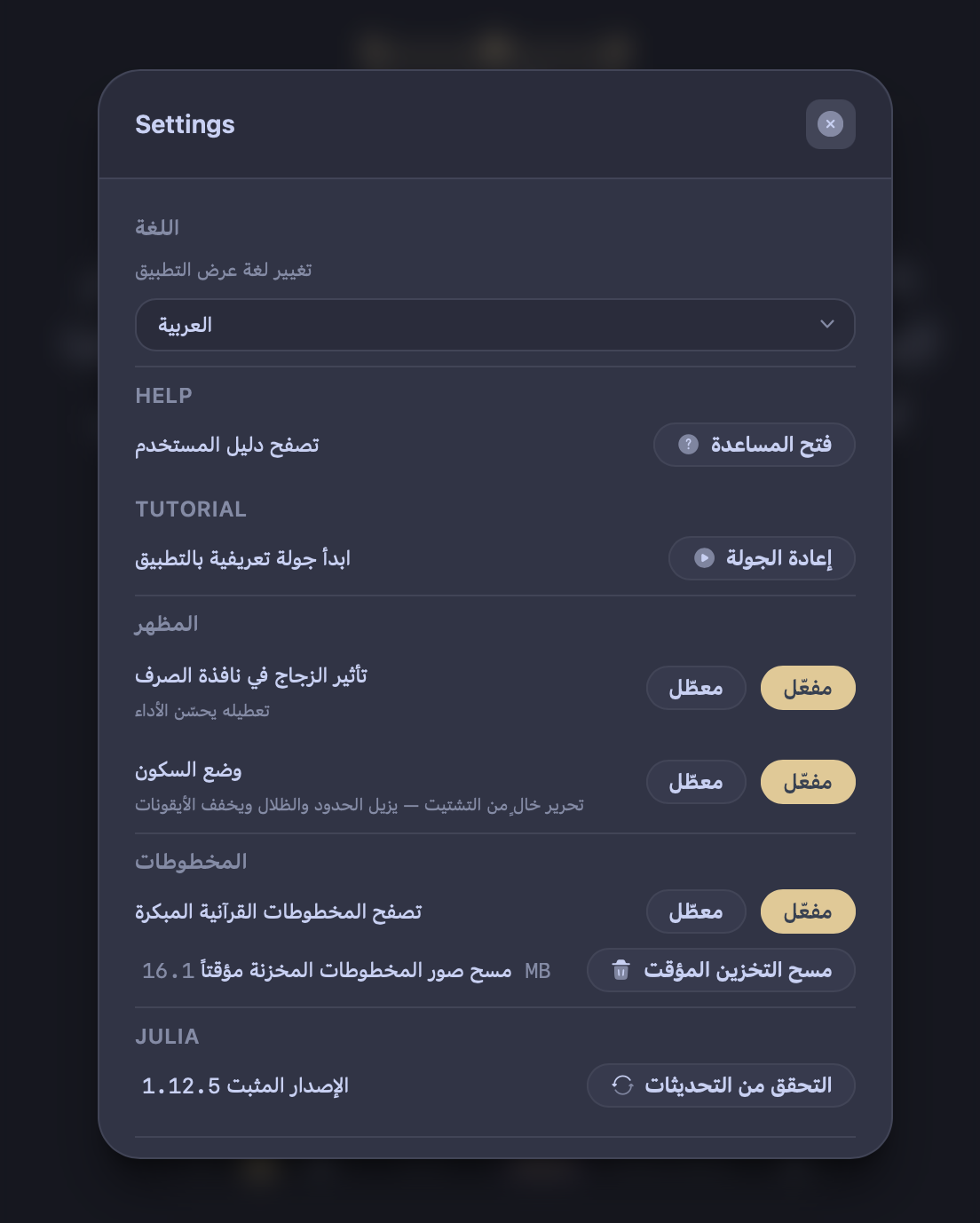 Language selector in Settings — Arabic