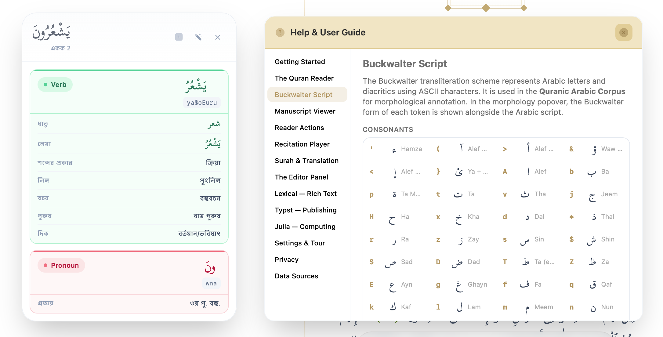 Morphology popover with full labels